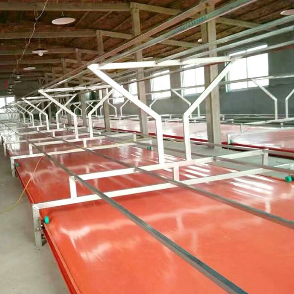 PVC帶蛋雞清糞機(jī)